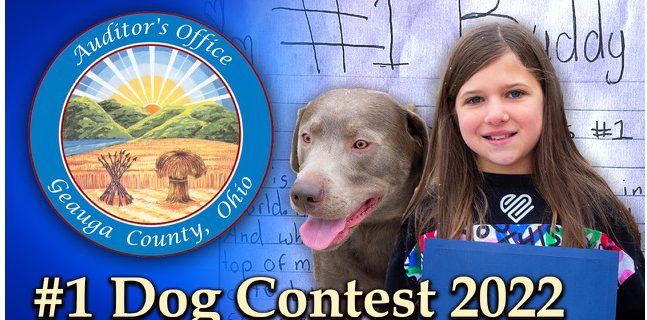 2022 #1 Dog Contest Winner Announced